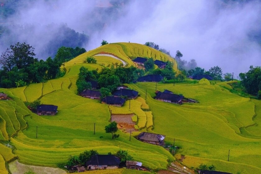 Image gallery